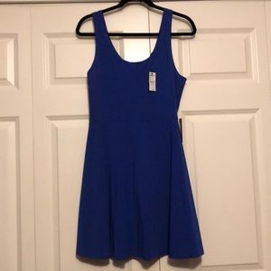 Express fit and flare dress